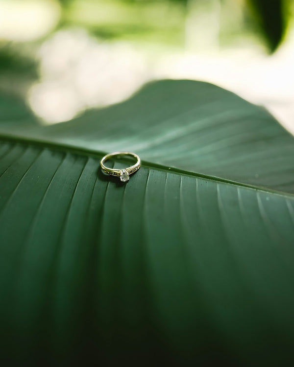 Een gouden ring met een briljant op een groot groen blad
