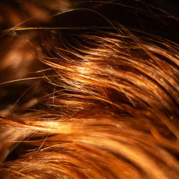 Close-up van glanzend koperrood haar in warm licht