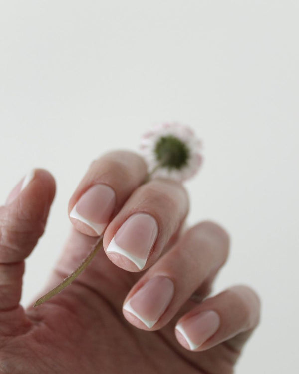 Natuurlijke french manicure met witte tips, de hand houdt een madeliefje vast