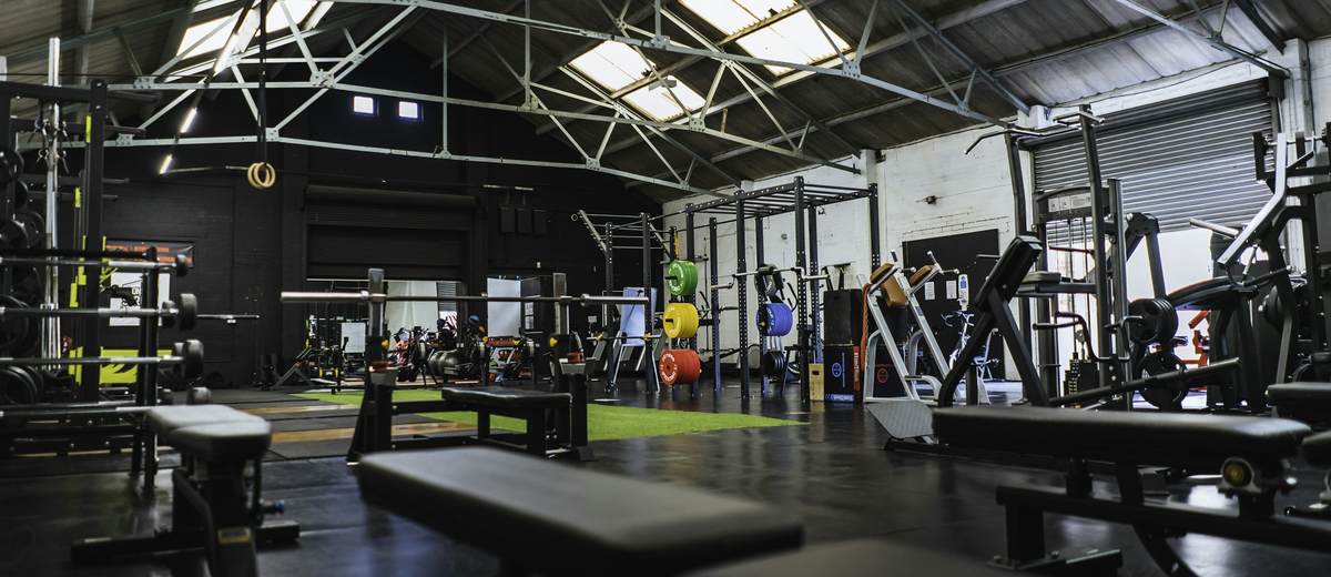Een grote trainingshal met een stalen dak en lichtstraten, squat racks, halterbanken en een strook kunstgras