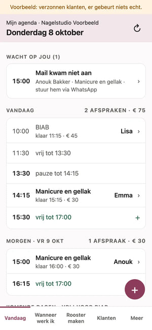 De app Mijn agenda, nagebouwd met verzonnen klanten